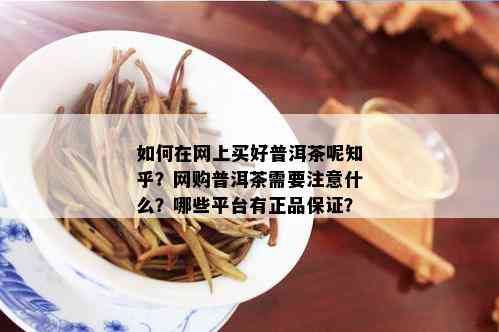 如何在网上买好普洱茶呢知乎？网购普洱茶需要注意什么？哪些平台有正品保证？