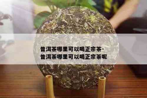 普洱茶哪里可以喝正宗茶-普洱茶哪里可以喝正宗茶呢