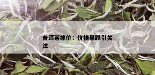 普洱茶掉价：价格暴跌引关注