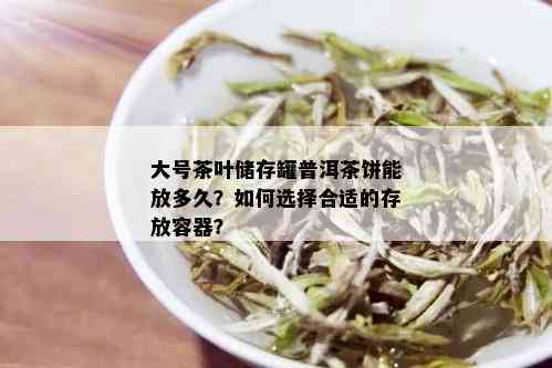 大号茶叶储存罐普洱茶饼能放多久？如何选择合适的存放容器？