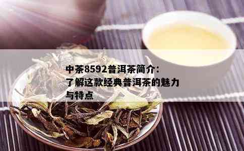 中茶8592普洱茶简介：了解这款经典普洱茶的魅力与特点