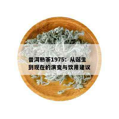 普洱熟茶1975：从诞生到现在的演变与饮用建议