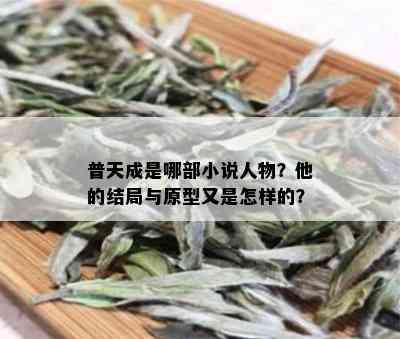 普天成是哪部小说人物？他的结局与原型又是怎样的？