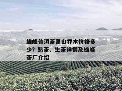 雄峰普洱茶高山乔木价格多少？熟茶、生茶详情及雄峰茶厂介绍