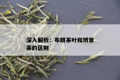 深入解析：布朗茶叶和班章茶的区别