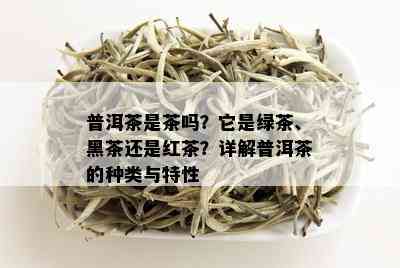 普洱茶是茶吗？它是绿茶、黑茶还是红茶？详解普洱茶的种类与特性