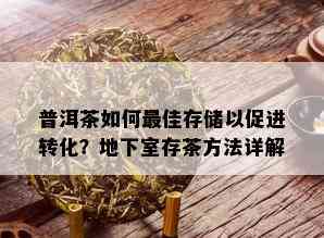 普洱茶如何更佳存储以促进转化？地下室存茶方法详解