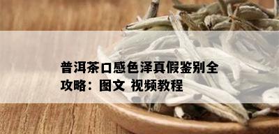 普洱茶口感色泽真假鉴别全攻略：图文 视频教程