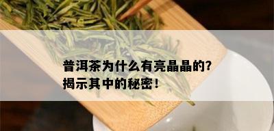 普洱茶为什么有亮晶晶的？揭示其中的秘密！