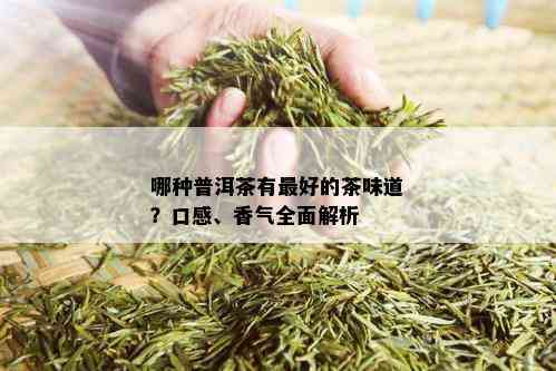 哪种普洱茶有更好的茶味道？口感、香气全面解析