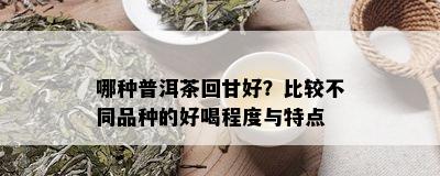 哪种普洱茶回甘好？比较不同品种的好喝程度与特点