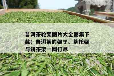 普洱茶轮架图片大全图集下载：普洱茶的架子、茶托架与饼茶架一网打尽