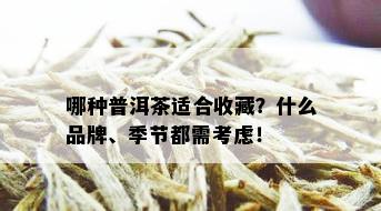 哪种普洱茶适合收藏？什么品牌、季节都需考虑！