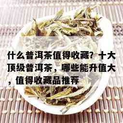 什么普洱茶值得收藏？十大顶级普洱茶，哪些能升值大，值得收藏品推荐