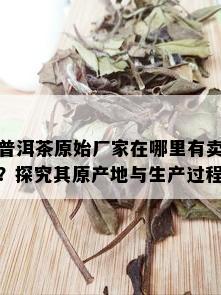 普洱茶原始厂家在哪里有卖？探究其原产地与生产过程