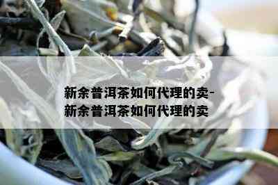 新余普洱茶如何代理的卖-新余普洱茶如何代理的卖