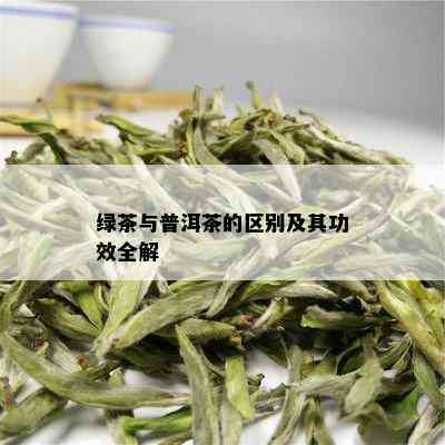 绿茶与普洱茶的区别及其功效全解