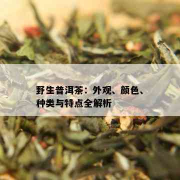 野生普洱茶：外观、颜色、种类与特点全解析