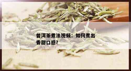 普洱茶煮法视频：如何煮出香甜口感？