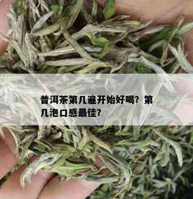 普洱茶第几遍开始好喝？第几泡口感更佳？