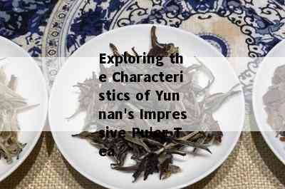 Exploring the Characteristics of Yunnan's Impressive Pu'er Tea