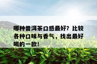 哪种普洱茶口感更好？比较各种口味与香气，找出更好喝的一款！