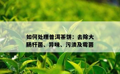 如何处理普洱茶饼：去除大肠杆菌、异味、污渍及霉菌