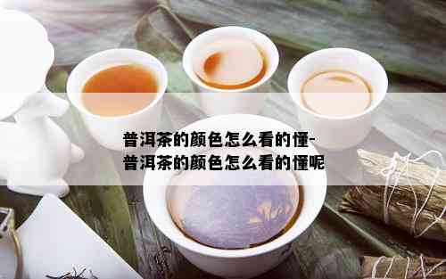 普洱茶的颜色怎么看的懂-普洱茶的颜色怎么看的懂呢