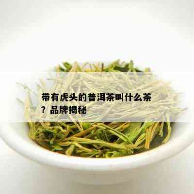 带有虎头的普洱茶叫什么茶？品牌揭秘