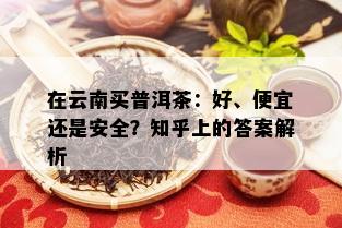 在云南买普洱茶：好、便宜还是安全？知乎上的答案解析