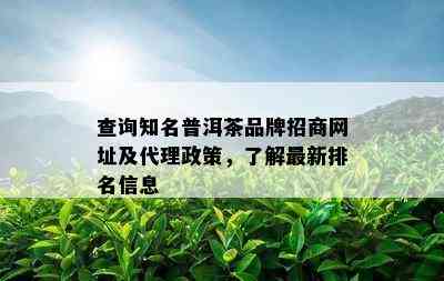 查询知名普洱茶品牌招商网址及代理政策，了解最新排名信息