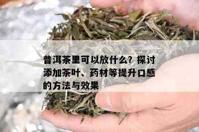 普洱茶里可以放什么？探讨添加茶叶、药材等提升口感的方法与效果