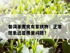 普洱茶煮完有絮状物：正常现象还是质量问题？