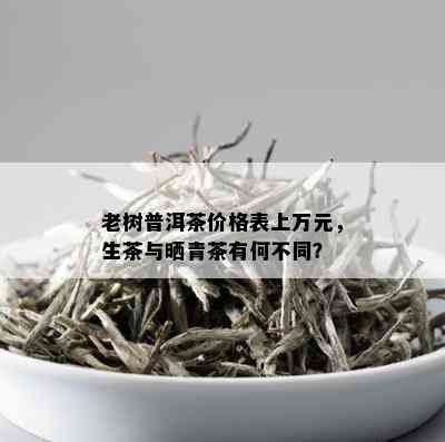 老树普洱茶价格表上万元，生茶与晒青茶有何不同？