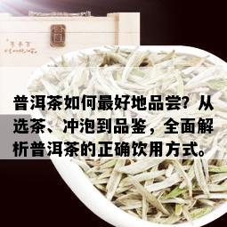 普洱茶如何更好地品尝？从选茶、冲泡到品鉴，全面解析普洱茶的正确饮用方式。