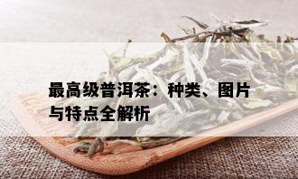 更高级普洱茶：种类、图片与特点全解析