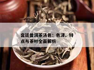 宫廷普洱茶汤色：色泽、特点与茶叶全面解析