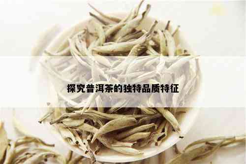 探究普洱茶的独特品质特征