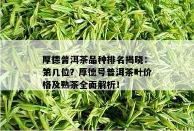 厚德普洱茶品种排名揭晓：第几位？厚德号普洱茶叶价格及熟茶全面解析！