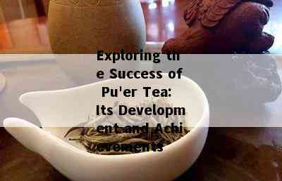 Exploring the Success of Pu'er Tea: Its Development and Achievements