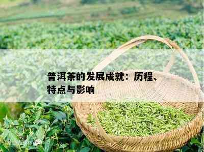 普洱茶的发展成就：历程、特点与影响