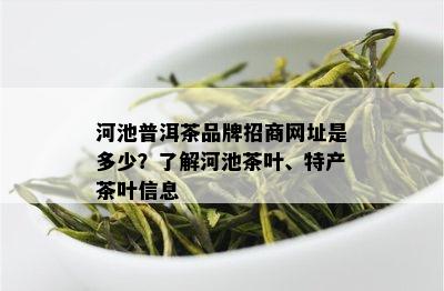 河池普洱茶品牌招商网址是多少？了解河池茶叶、特产茶叶信息