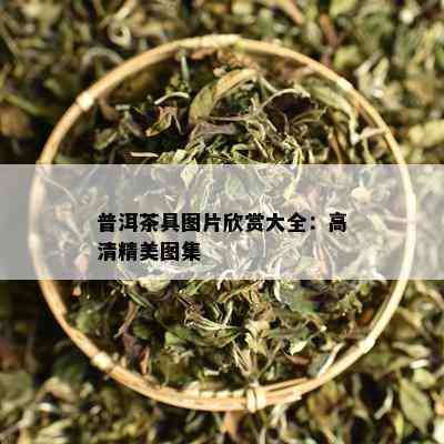 普洱茶具图片欣赏大全：高清精美图集