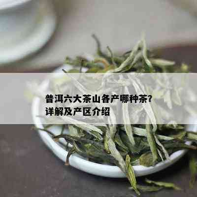 普洱六大茶山各产哪种茶？详解及产区介绍