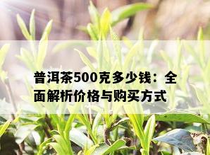 普洱茶500克多少钱：全面解析价格与购买方式