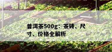 普洱茶500g：茶砖、尺寸、价格全解析