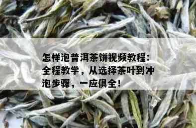 怎样泡普洱茶饼视频教程：全程教学，从选择茶叶到冲泡步骤，一应俱全！