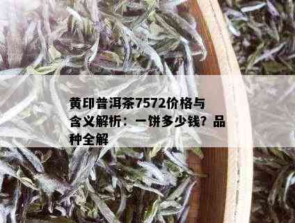 黄印普洱茶7572价格与含义解析：一饼多少钱？品种全解