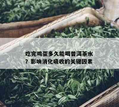 吃完鸡蛋多久能喝普洱茶水？影响消化吸收的关键因素