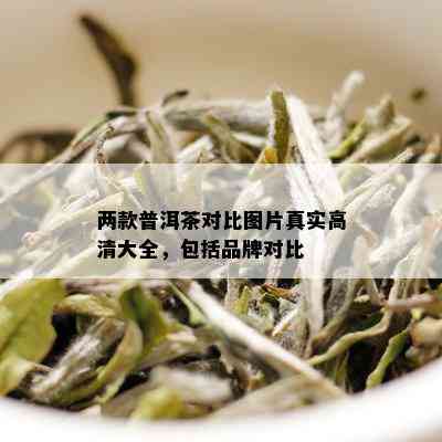 两款普洱茶对比图片真实高清大全，包括品牌对比